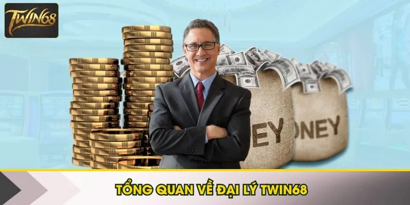 Tổng quan về đại lý Twin68