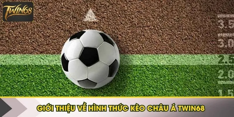 Thông tin giới thiệu về kèo Handicap Twin68